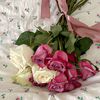 bibo.queen87