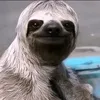 ahmedlolololp