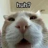 xkubix73