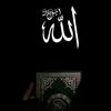 user6615140532666