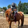 haniaequestrian1111