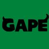 gap3_g0t.no.h0es