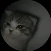 wizar_yuki