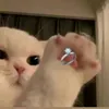 0si_li_na0