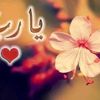 user5087579918196