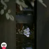 user4296098g