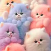 aqeelalmarsoumy897
