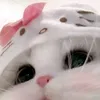 annabelle.macahig4