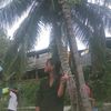 ical.ical95