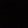 golda_448