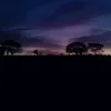 _dnzin.wzn
