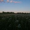user5010512610104