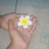 basu..dor0