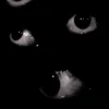 tylovjhsw9a