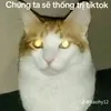 ch.bo.phan1