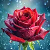 jenny.tuyn5