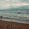 asxlxy_22o