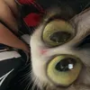 pia_.lala