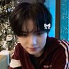 ze_rose320