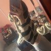 anne_4226
