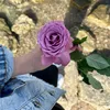 asoo_queen07
