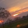dika79343