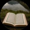 user316190280