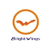 brightwings_metalfitting