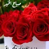 user3820407080887