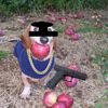 ynappledoglockedin
