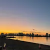 magu16017