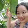 vo.linh03