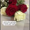 user354141310440