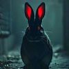 blackrabbit625