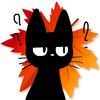 maple.cat.1