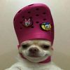 fatimah_rtb1089