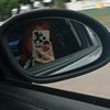 angel_264503
