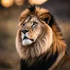 abu_ghathab