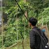 yancou8