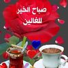 user7838078754981