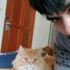 yothin.msi