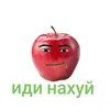 pipidastr22880