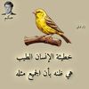 user9040974455363