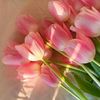 solaf_hamad_07