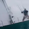 sully12937205