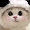dhelltzy7