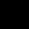 nzvus