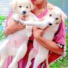 poonaikutty20