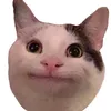 gerceonfvk7