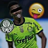 dz.olvv